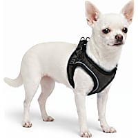 Petco Small Breed Vest Harness