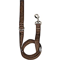 Petco Nylon Dog Leash