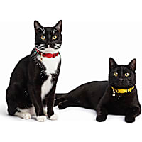 Petco Animal Print Breakaway Cat Collar Pack