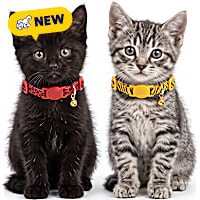 Petco Animal Print Breakaway Kitten Collar Pack
