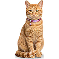 Petco Swirl Breakaway Cat Collar