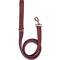 Petco Waterproof Dog Leash