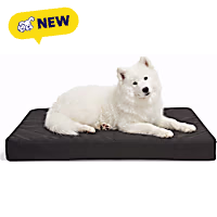 Petco Durable Orthopedic Gusset Dog Bed