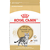 Royal Canin Feline Breed Nutrition American Shorthair Adult Dry Cat Food
