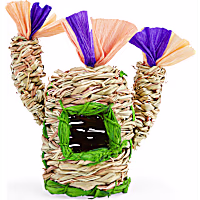 You & Me Small Animal Cactus Chewable Hideaway