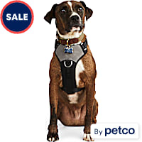 Reddy Jacquard Dog Harness