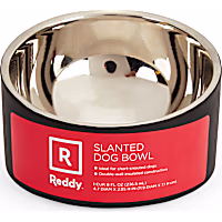 Reddy Slanted Stainless-Steel Slanted Dog Bowl