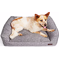 Reddy CBD Infused Lounger Dog Bed