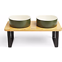 Reddy Green Elevated Double Diner Dog Bowl