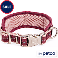 Reddy Stripe Dog Collar