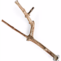You & Me Java Wood Multi-Branch Perch Toy