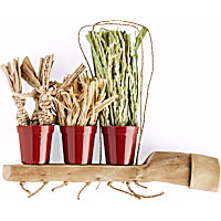 You & Me Plant Trio Toy