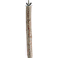 You & Me Manzanita Wood Bird Perch Toy