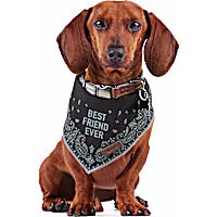 Reddy BFF Bandana for Dogs and Cats