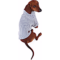 Reddy Railroad Stripe Shirt for Dogs