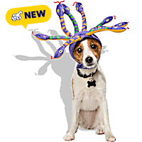 Petco Snake Pet Costume Headpiece
