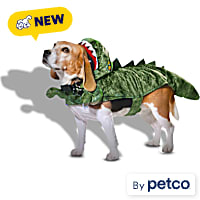 Petco Dinosaur Hooded Pet Halloween Costume