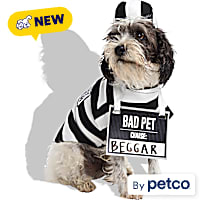 Petco Prisoner Pet Halloween Costume