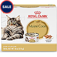 Royal Canin Feline Breed Nutrition Maine Coon Adult Thin Slices in Gravy Cat Food
