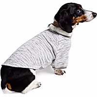 Reddy Grey Textured Pet T-Shirt