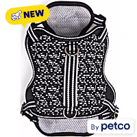 Reddy Ultra-Reflective Dog Harness