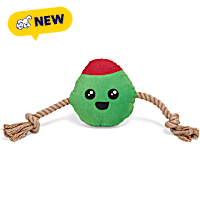 Petco Olive for Fun Plush Rope Dog Toy