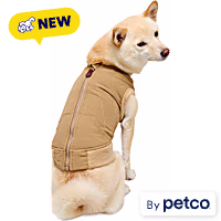Reddy Quilted Bomber Jacket for Dogs