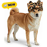 Petco Leopard Teddy Bear Ear Pet Hat