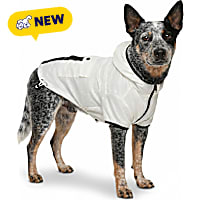 Petco Glow in the Dark Pet Jacket