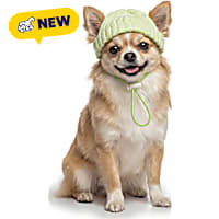 Petco Glow in the Dark Pet Beanie