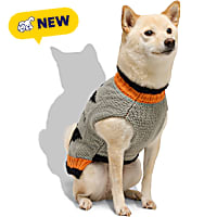 Petco Happy Halloween Witches Pet Sweater