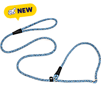 Petco Rope Slip Combination Collar Leash