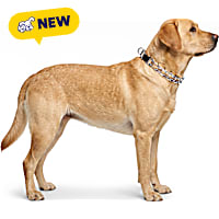 Petco Quick Release Prong Dog Collar