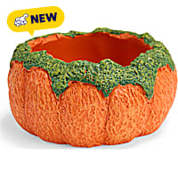 Petco Halloween Pumpkin Reptile Dish