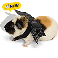 Petco Halloween Bat Wings Small Animal Costume