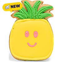 Petco Pineapple Flavor Hand-Decorated Dog Treats