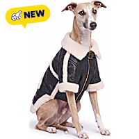 Reddy Sherpa Lined Aviator Pet Jacket