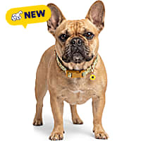 Petco Sunflower Adjustable Dog Collar