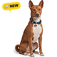Petco Blue Plaid Adjustable Dog Collar