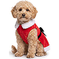 Petco Holiday Mrs. Claus Pet Costume