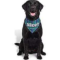 Petco Holiday Nice? Dog Bandana