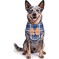 Petco Holiday Navy Plaid Dog Bandana
