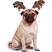Petco Holiday Antler Pet Costume Headband