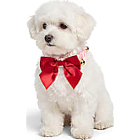 Petco Holiday Pink Bow and Bell Scrunch Costume Dog Collar
