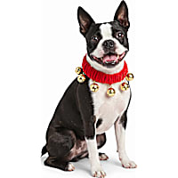 Petco Holiday Jingle Bell Red Scrunch Costume Dog Collar