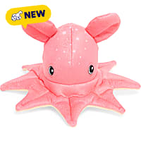 Petco Octopus Durable Plush Dog Toy