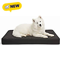 Petco Durable Orthopedic Gusset Dog Bed