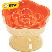 PawsPik Raised Ceramic Slow Feeder Dog & Cat Food Bowl