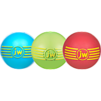 JW Pet iSqueak Rubber Ball Dog Toy