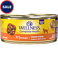 Wellness Complete Health Natural Grain Free Morsels Chicken Entree Wet Cat Food